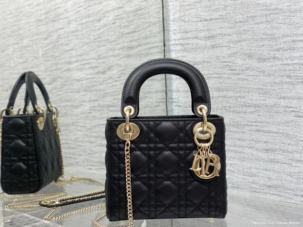 Tony Luxuries Calfskin Lady diro Mini 0818